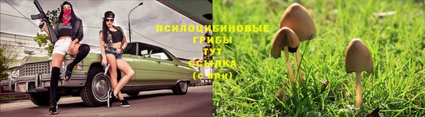 ALPHA PVP Арсеньев