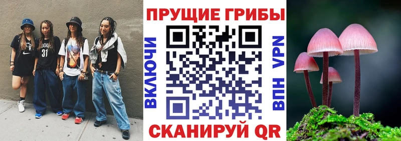 Галлюциногенные грибы Cubensis дарнет шоп Советская Гавань